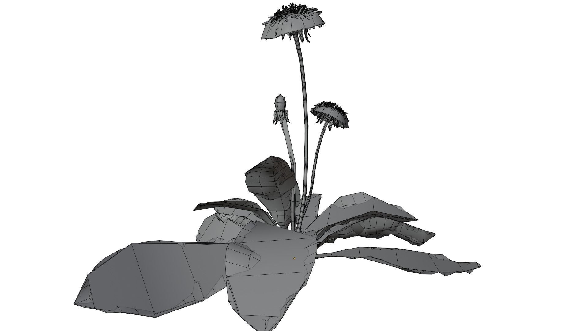 Dandelion Plant 3D model_11