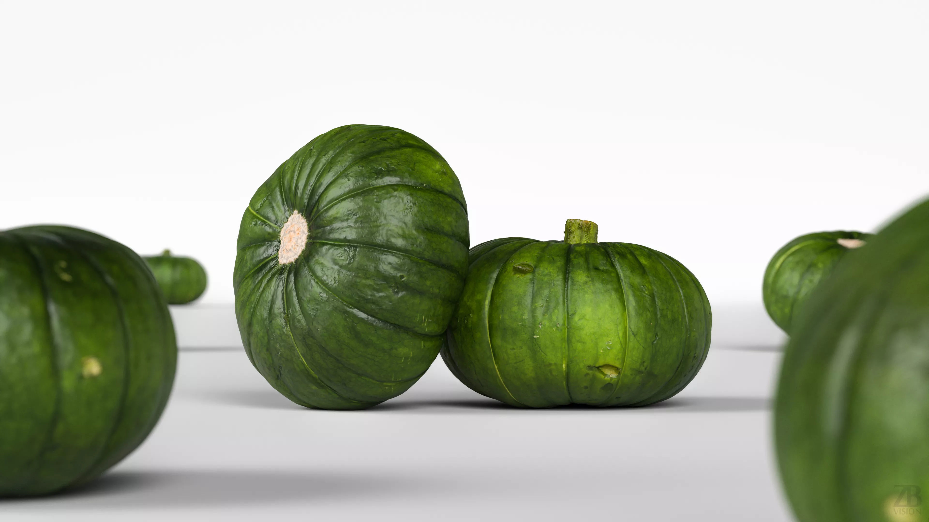 Zucchiolo 3D model_1