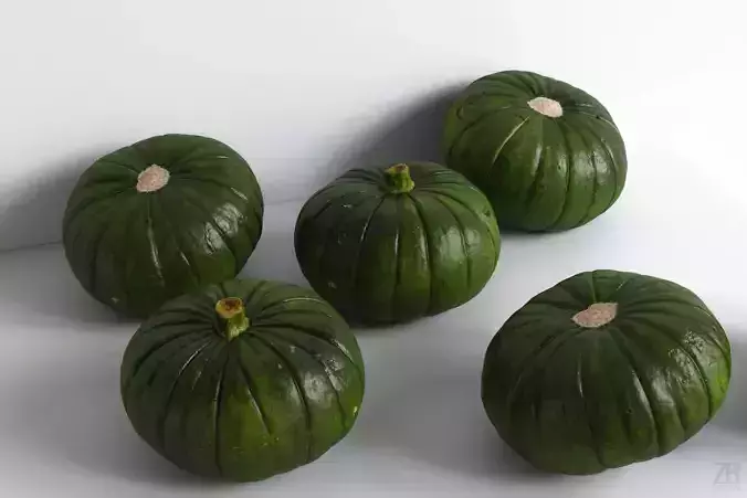 Zucchiolo 3D model