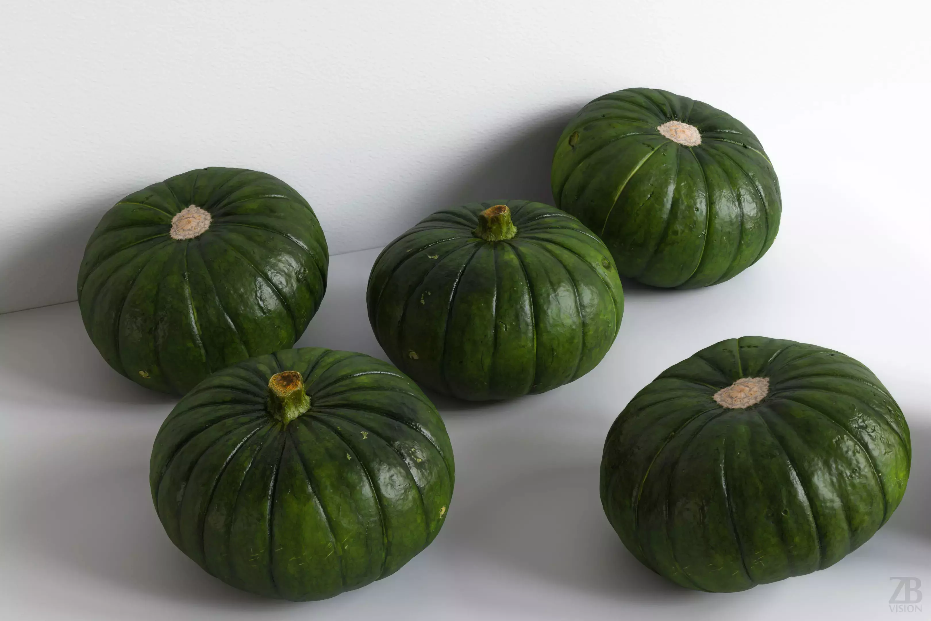 Zucchiolo 3D model_0