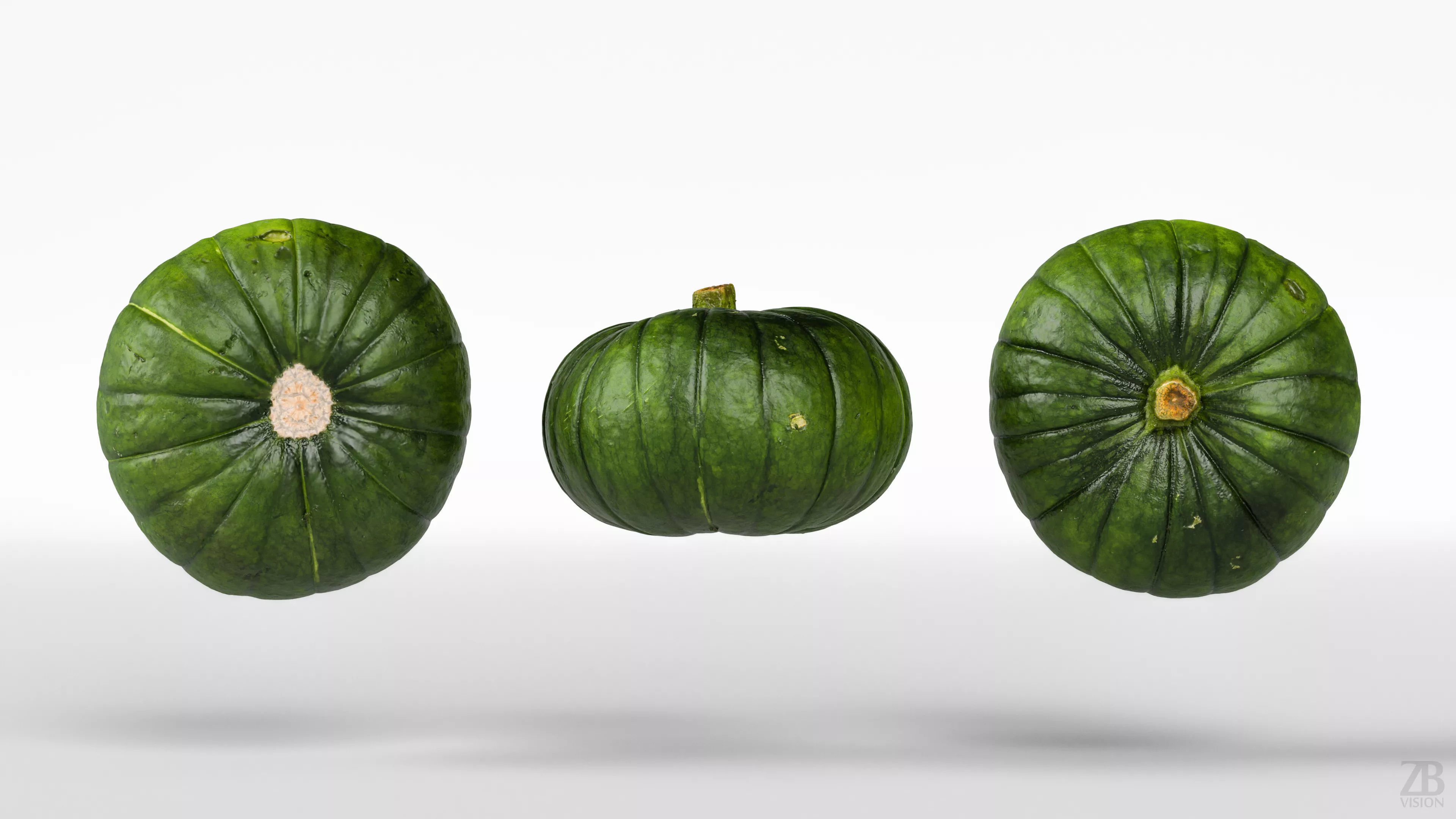 Zucchiolo 3D model_4