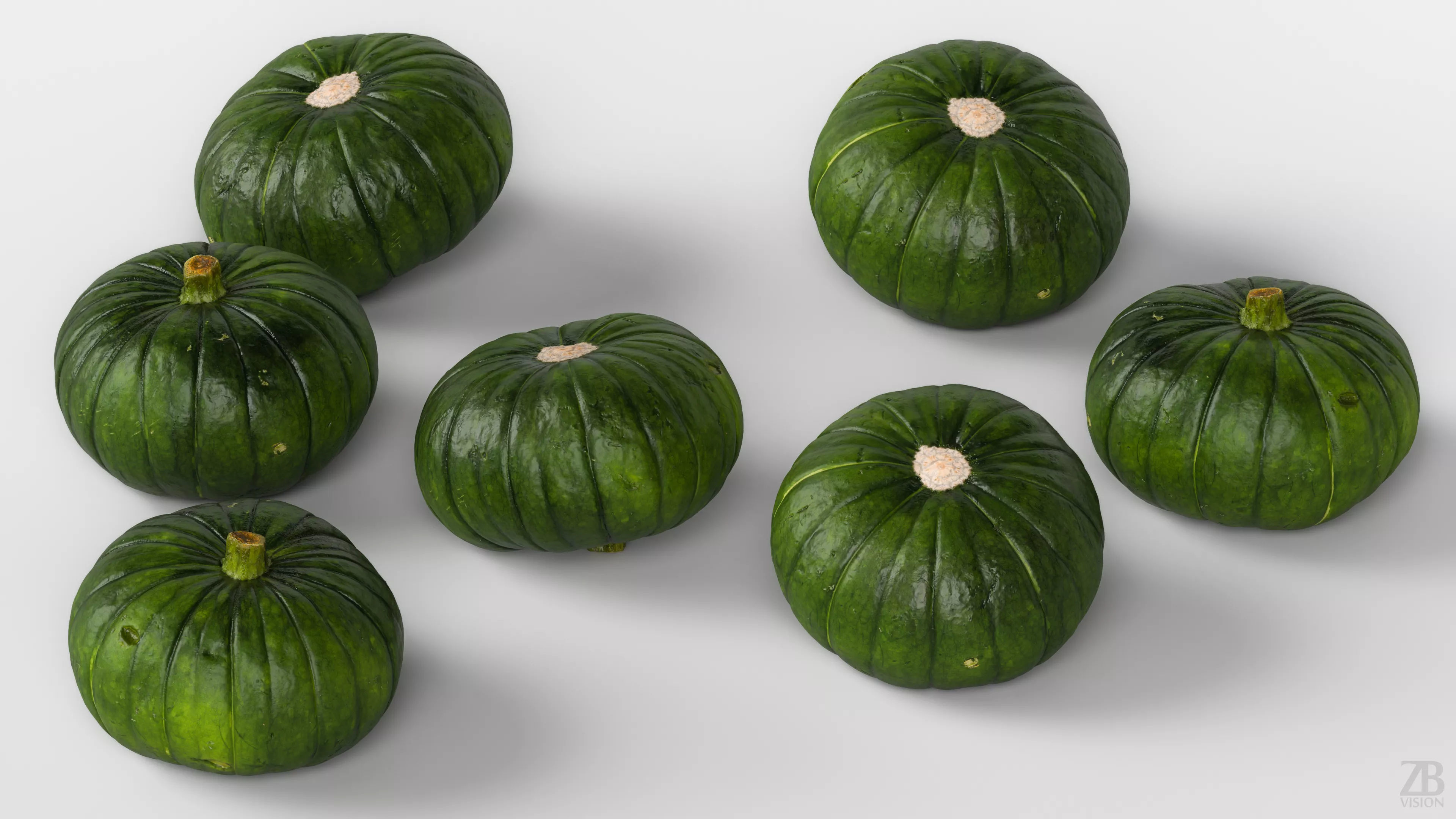 Zucchiolo 3D model_2