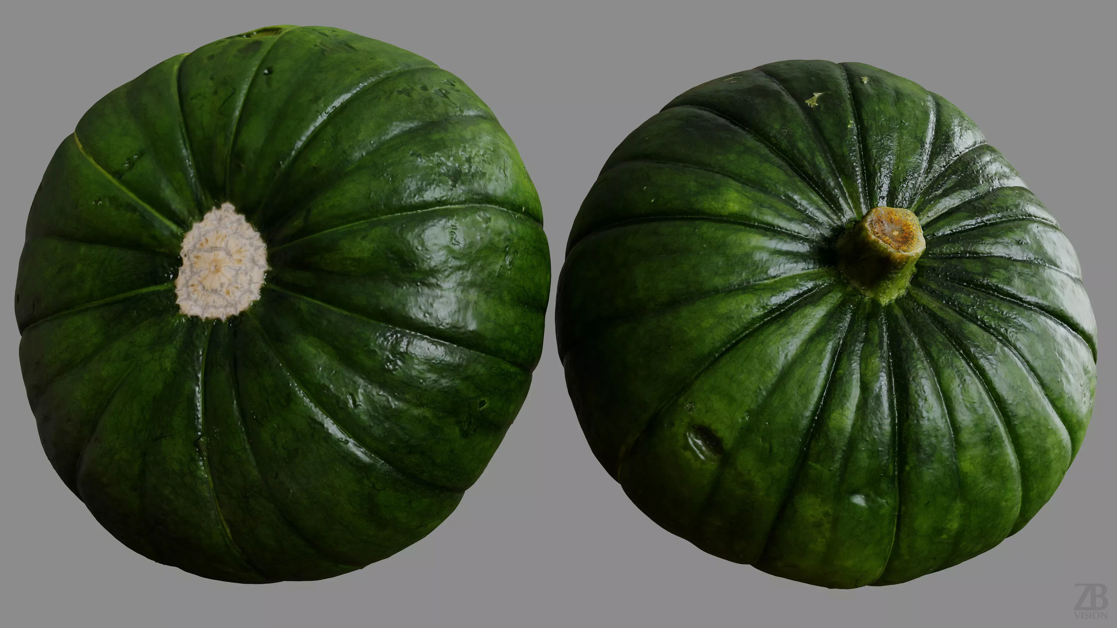 Zucchiolo 3D model_9