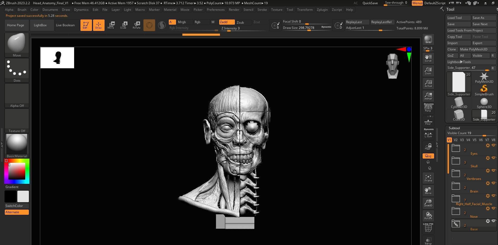 Head Skull anatomy Ecorche 3D print model_44