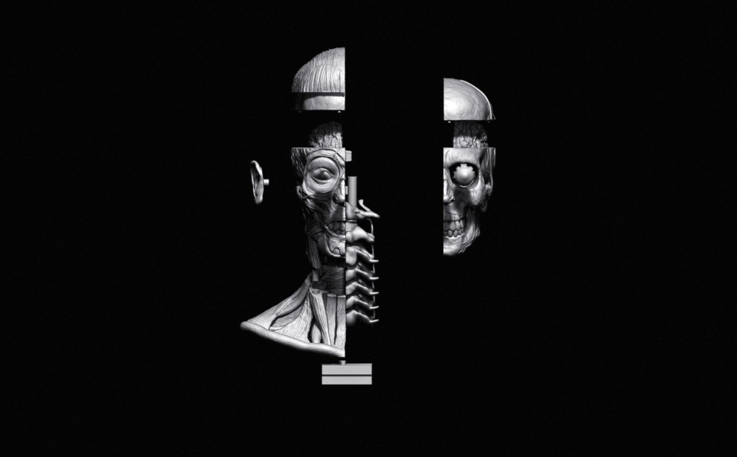 Head Skull anatomy Ecorche 3D print model_34