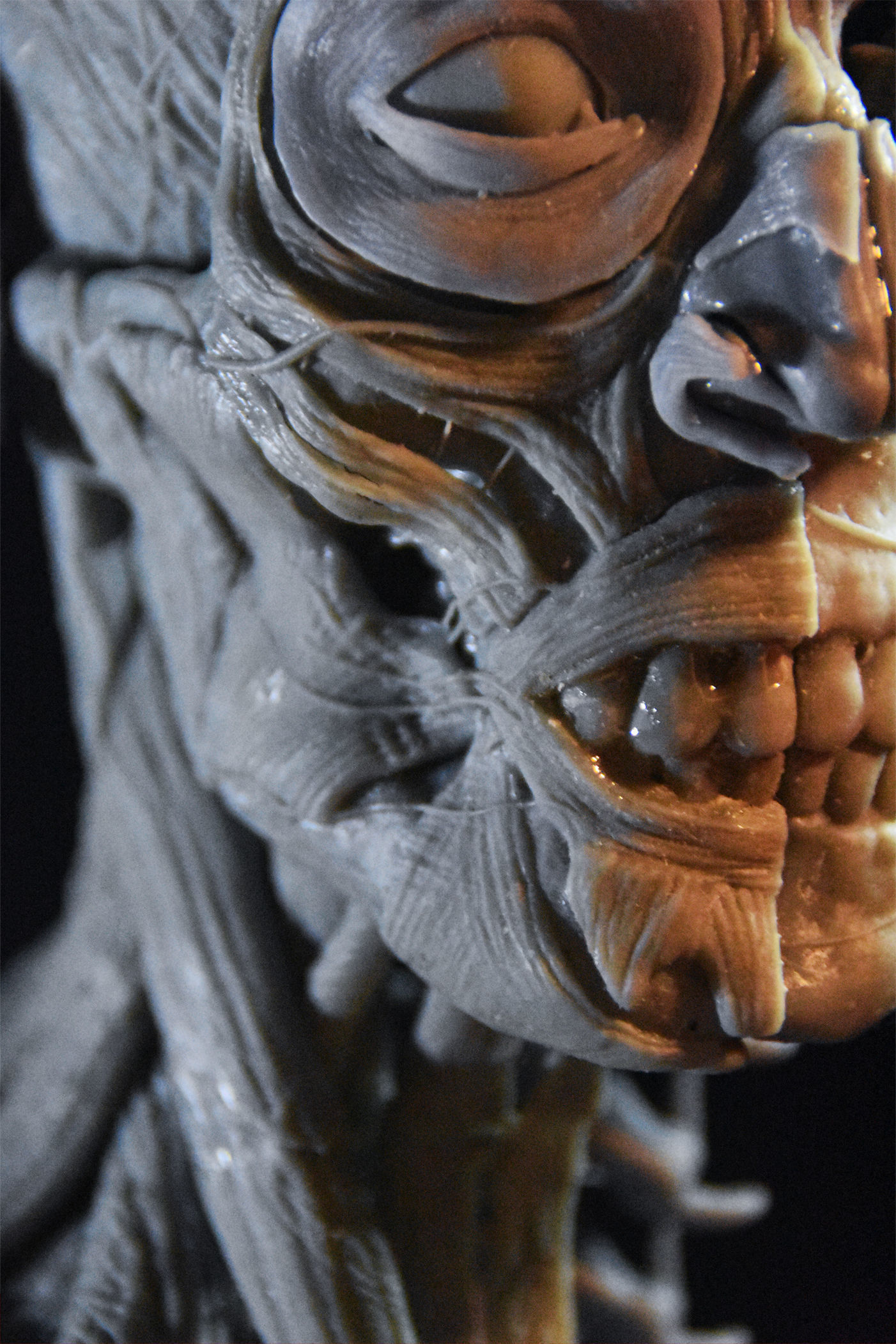 Head Skull anatomy Ecorche 3D print model_10