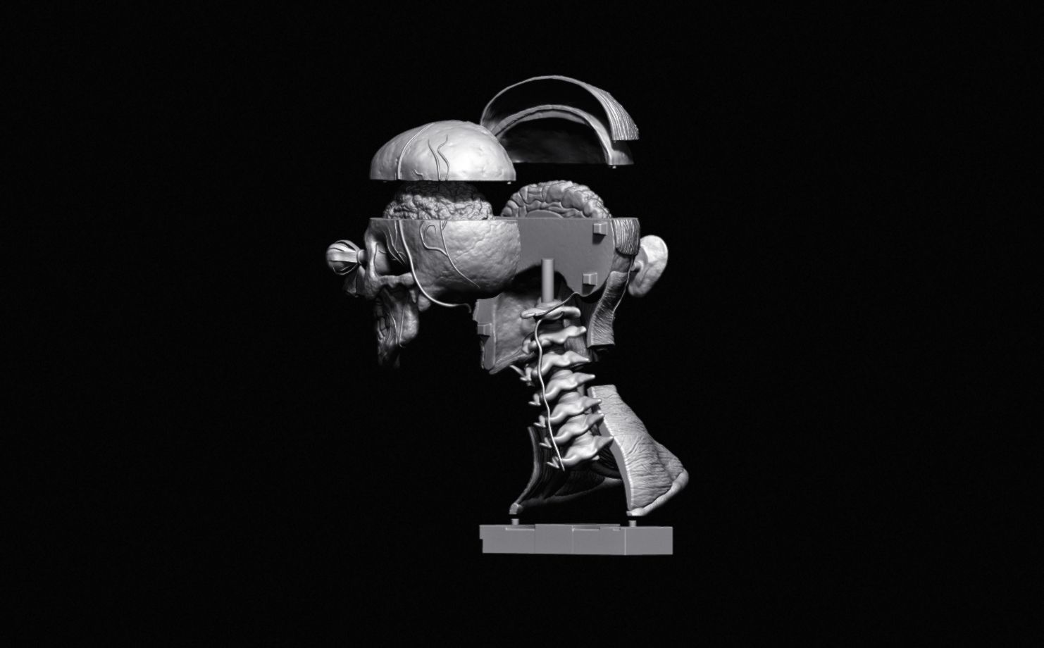 Head Skull anatomy Ecorche 3D print model_37