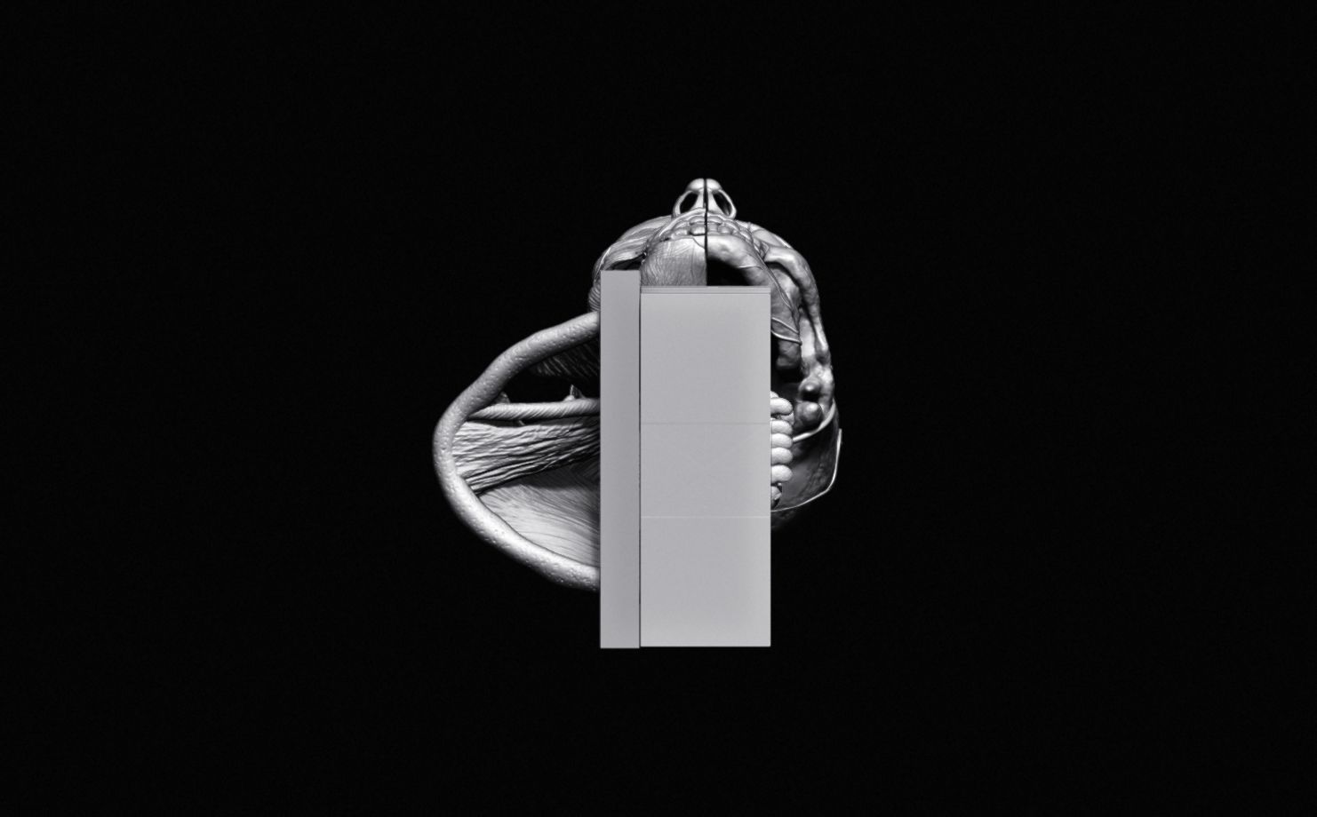 Head Skull anatomy Ecorche 3D print model_22