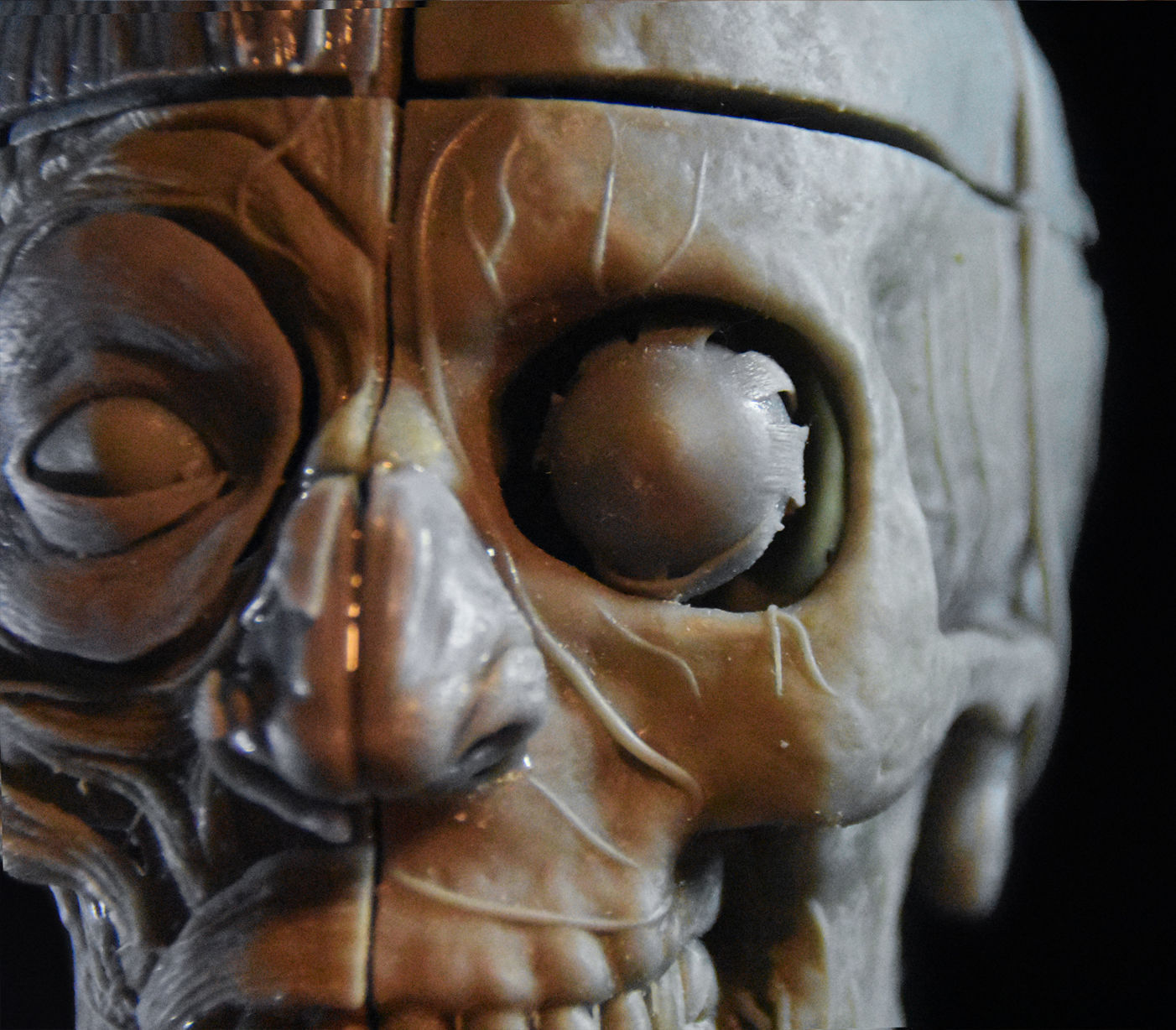 Head Skull anatomy Ecorche 3D print model_11