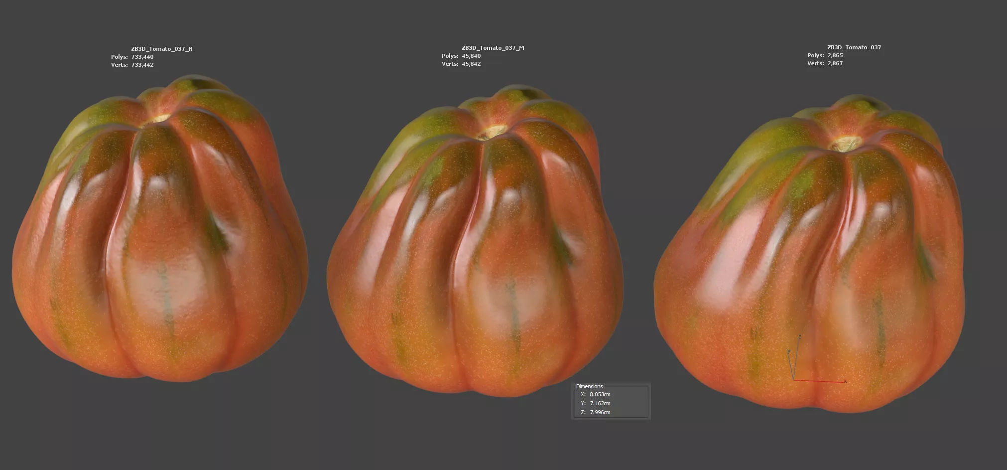 Tomato 3D model_5