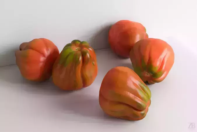 Tomato 3D model