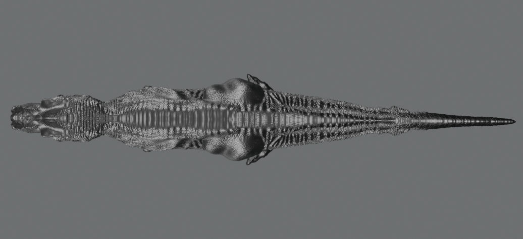 T-Rex 3D print ready 3D print model_4