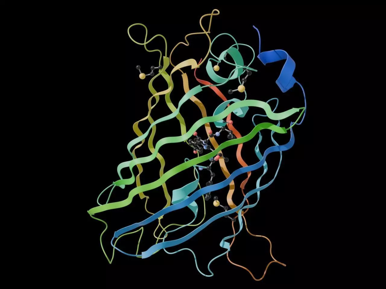 Green Fluorescent Protein - GFP 3D model