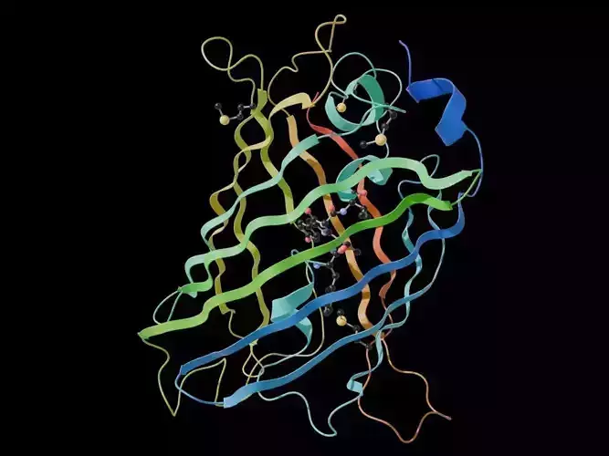  Green Fluorescent Protein - GFP 3D model
