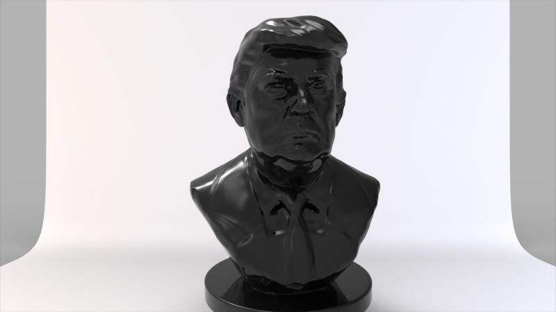 Donald Trump Bust  3D print model_16