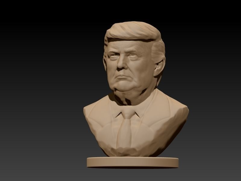 Donald Trump Bust  3D print model_14
