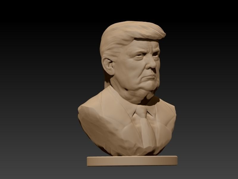 Donald Trump Bust  3D print model_10