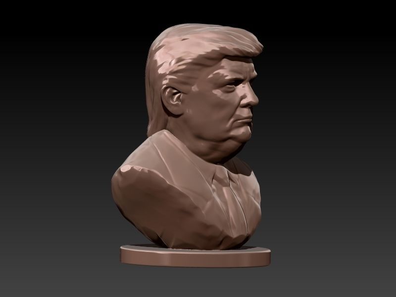 Donald Trump Bust  3D print model_13