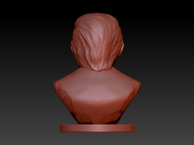Donald Trump Bust  3D print model_5