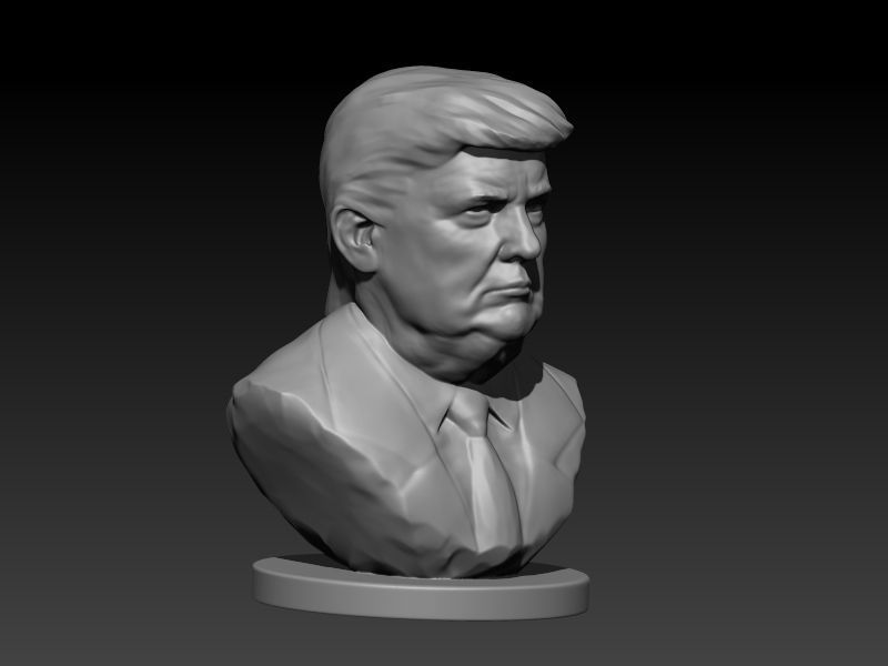 Donald Trump Bust  3D print model_15