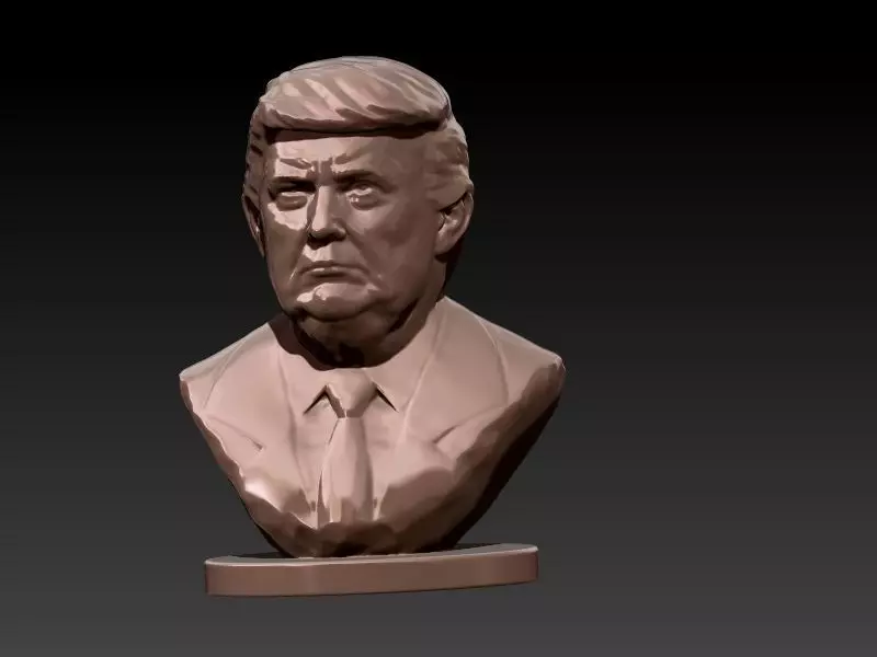 Donald Trump Bust  3D print model_0