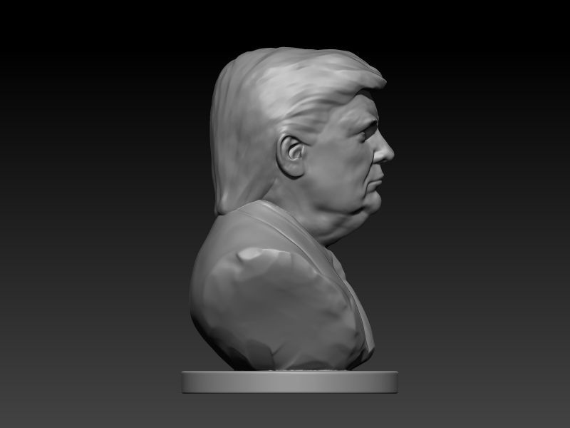Donald Trump Bust  3D print model_3