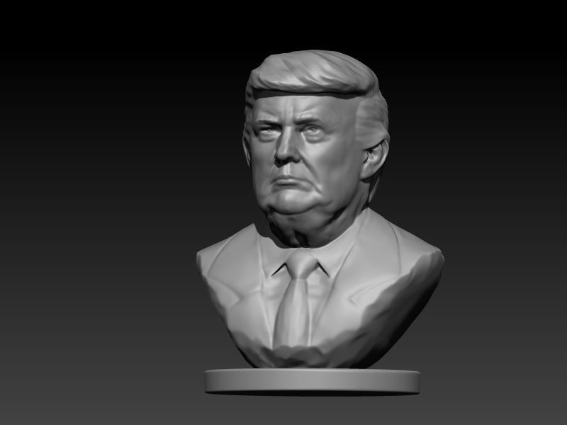 Donald Trump Bust  3D print model_6