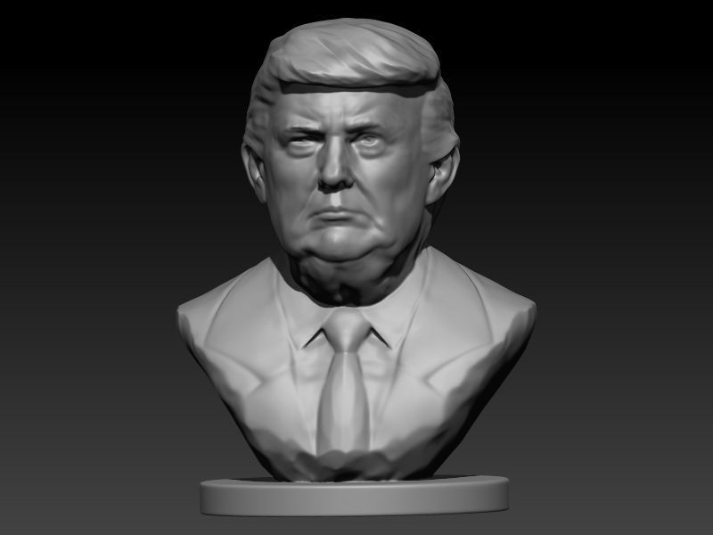 Donald Trump Bust  3D print model_9
