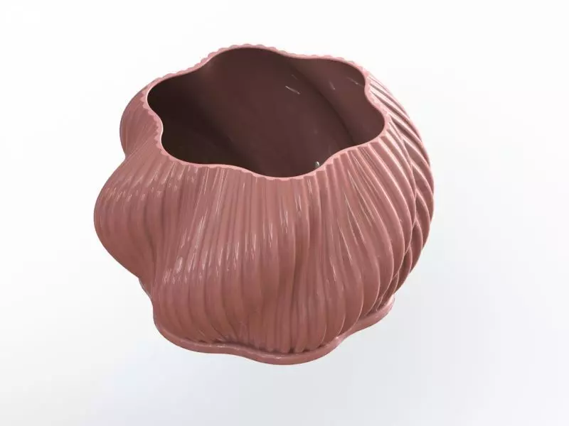 PERAHIKIANA BASKET  3D print model_0