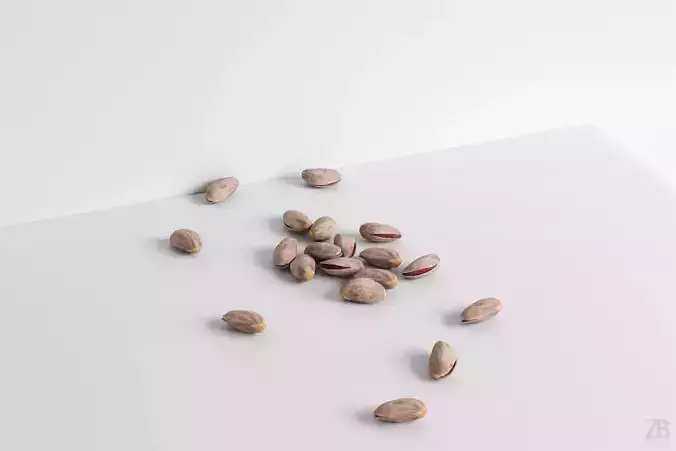Pistachio 3D model