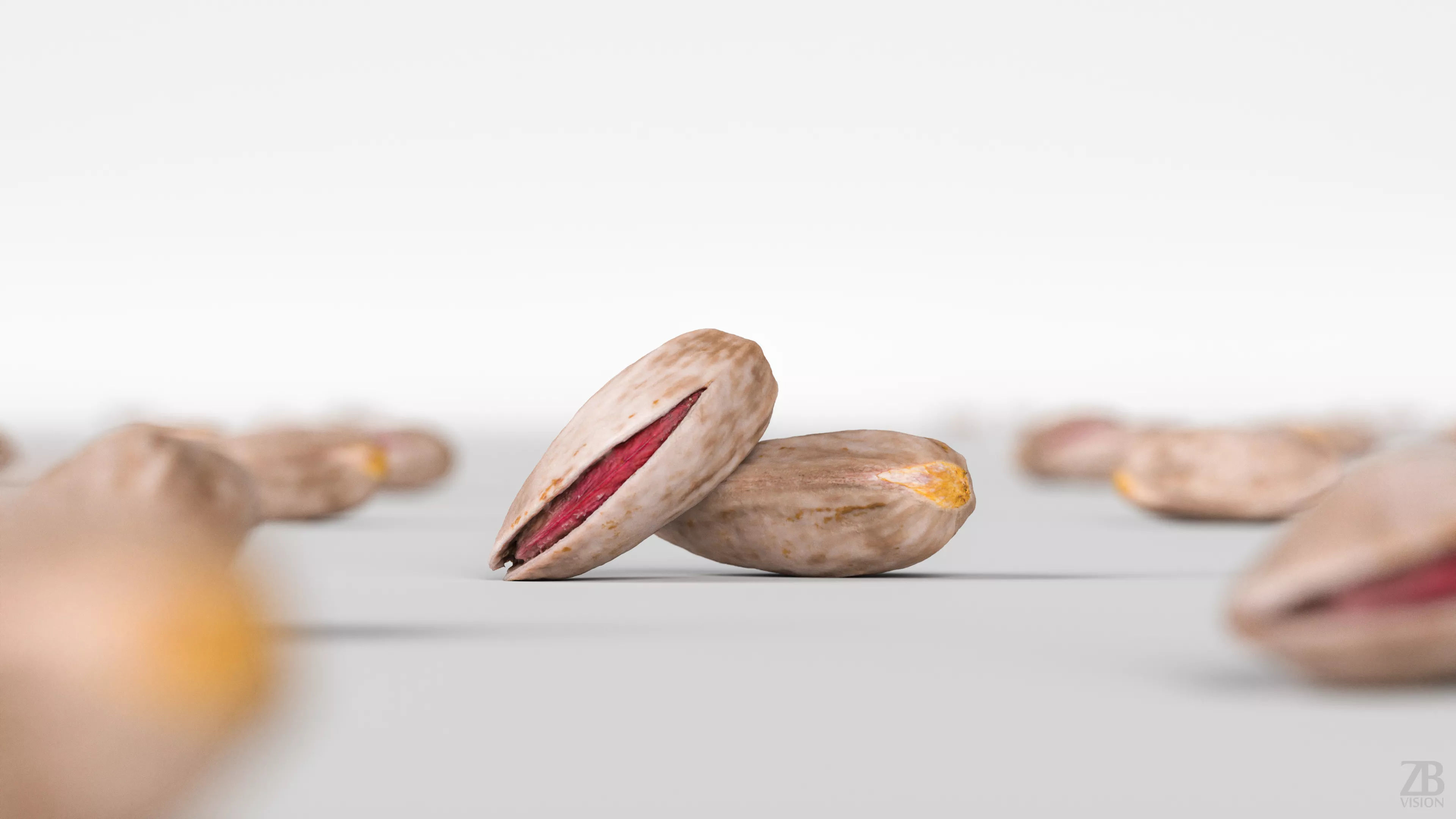 Pistachio 3D model_1