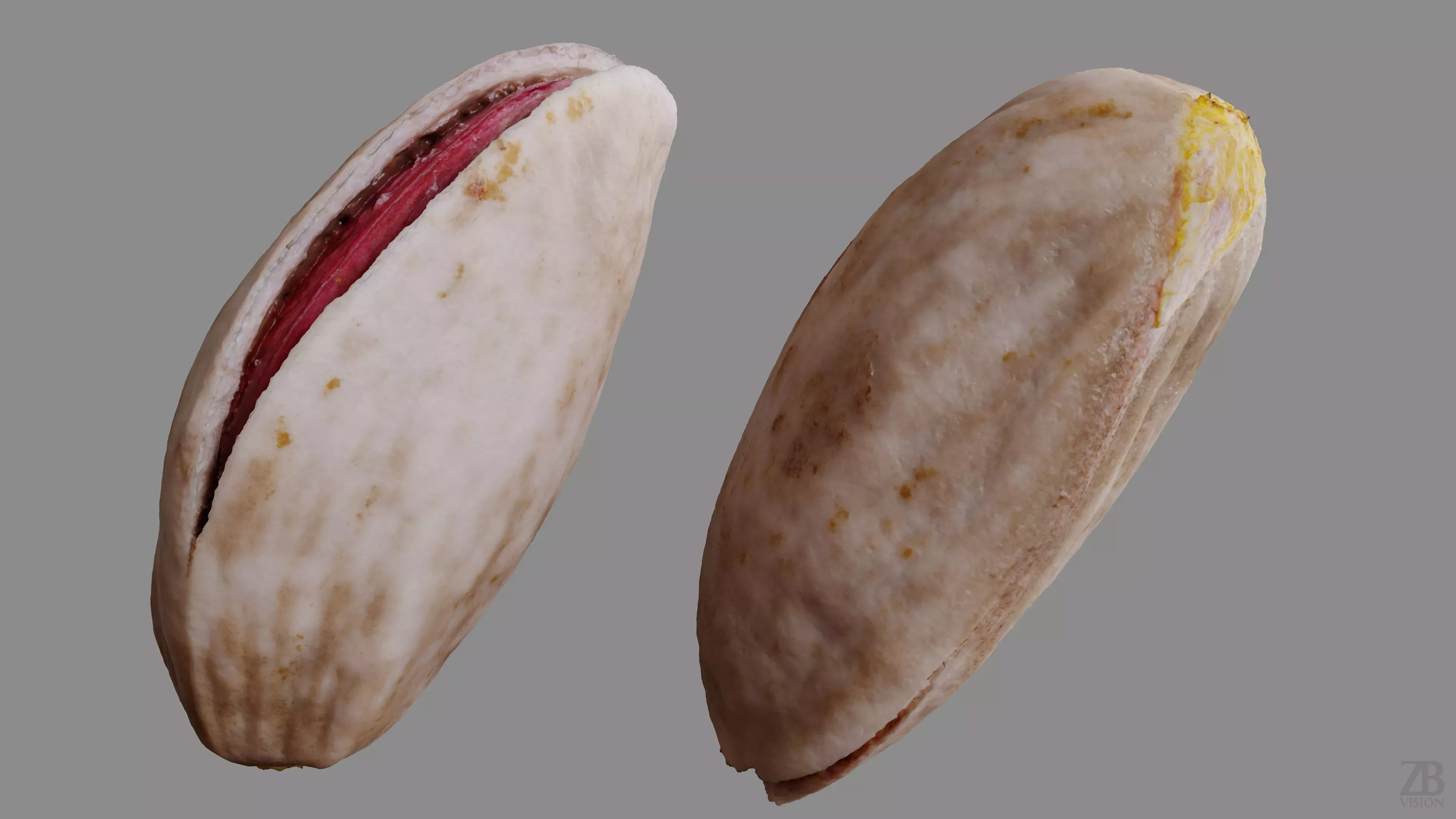 Pistachio 3D model_9