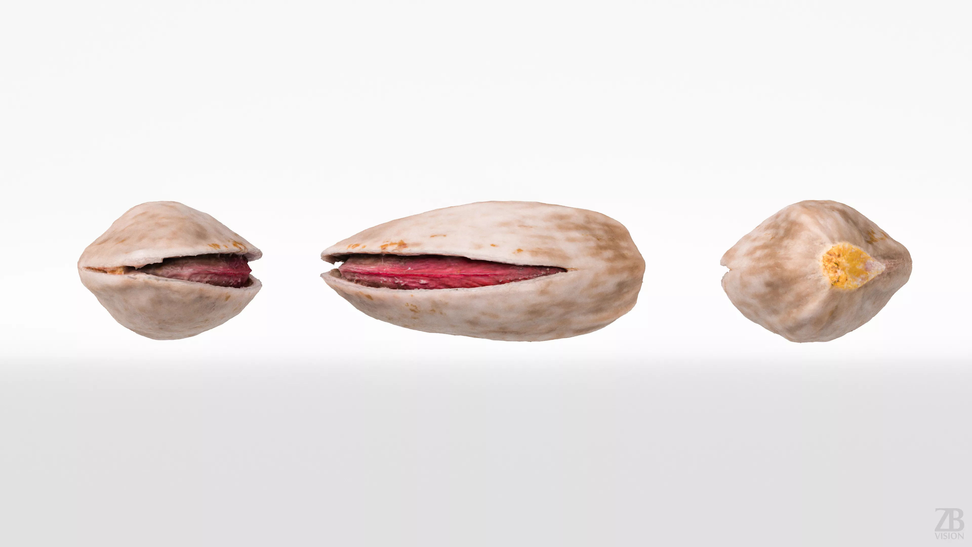 Pistachio 3D model_4