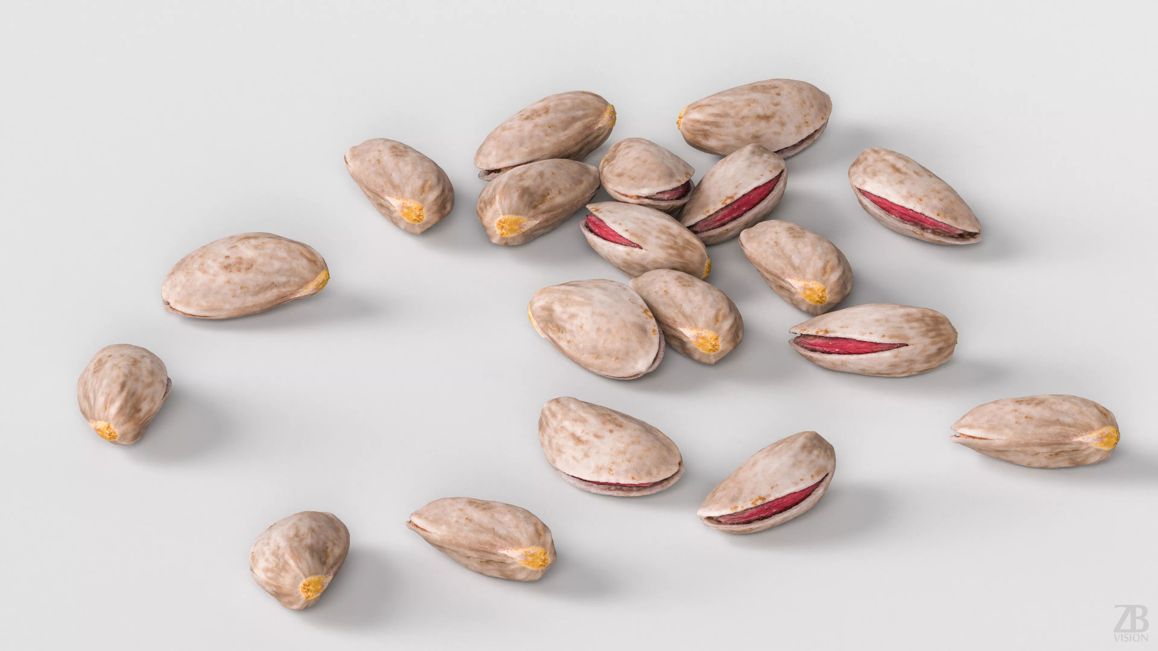 Pistachio 3D model_2