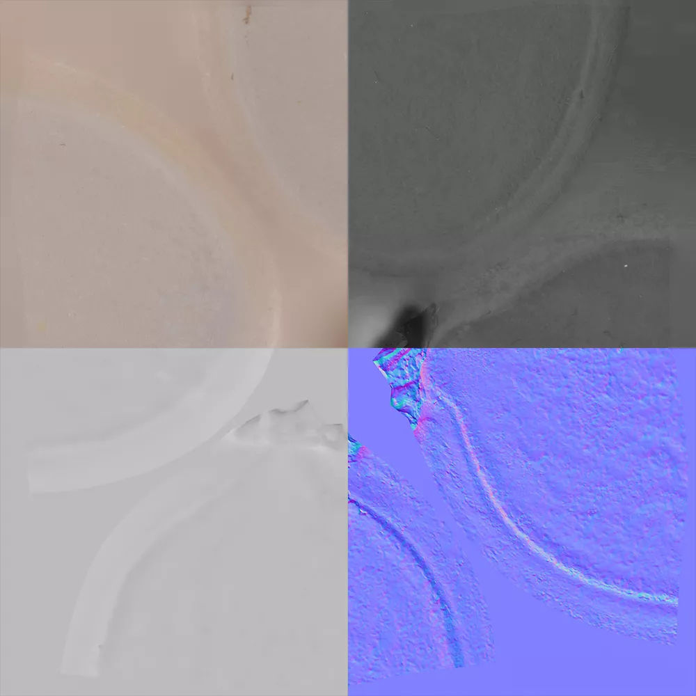 Pumpkin Seed 3D model_8