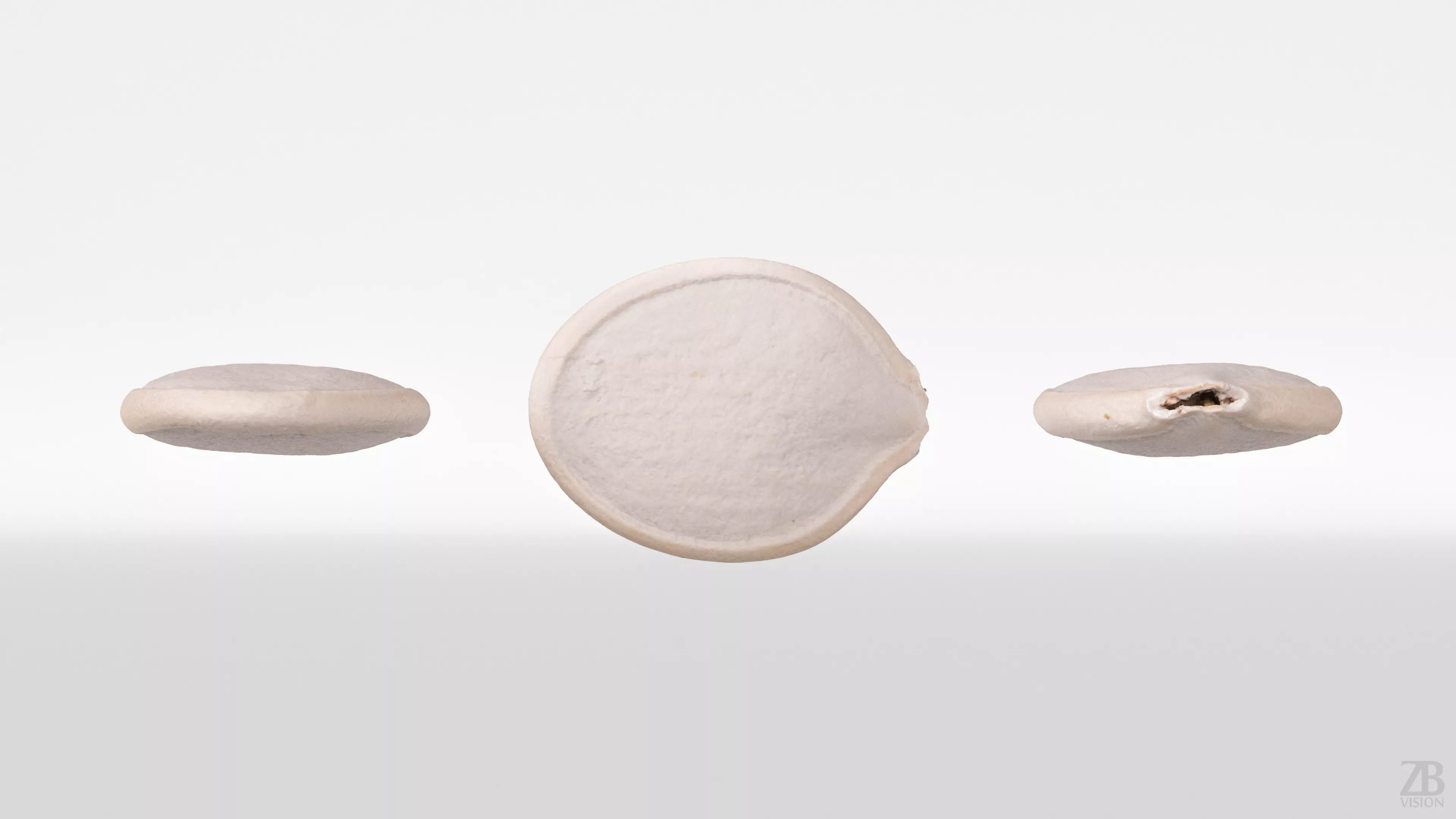 Pumpkin Seed 3D model_4