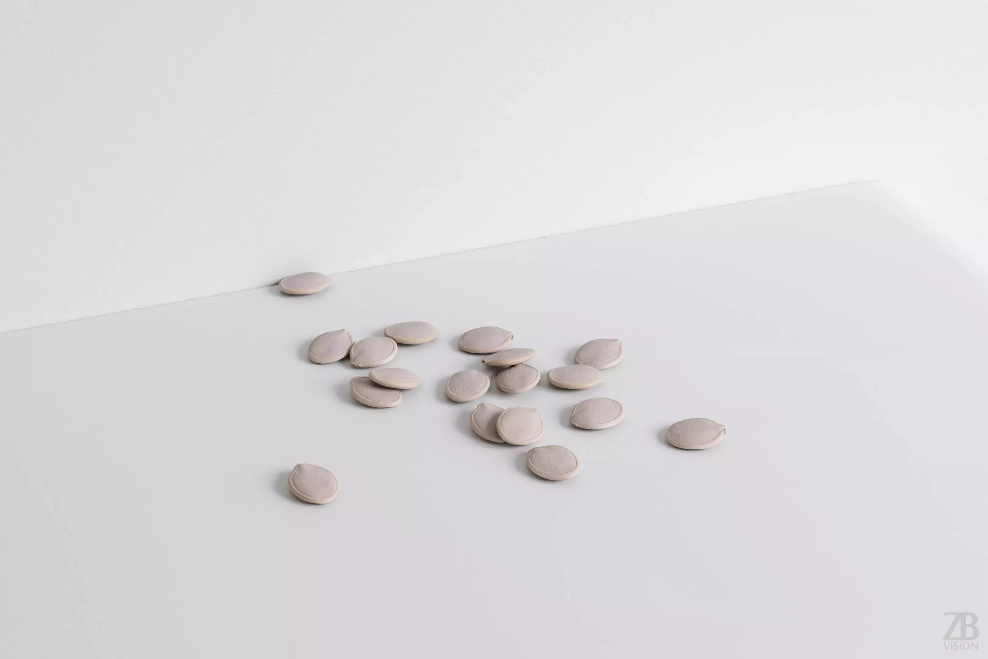 Pumpkin Seed 3D model_0