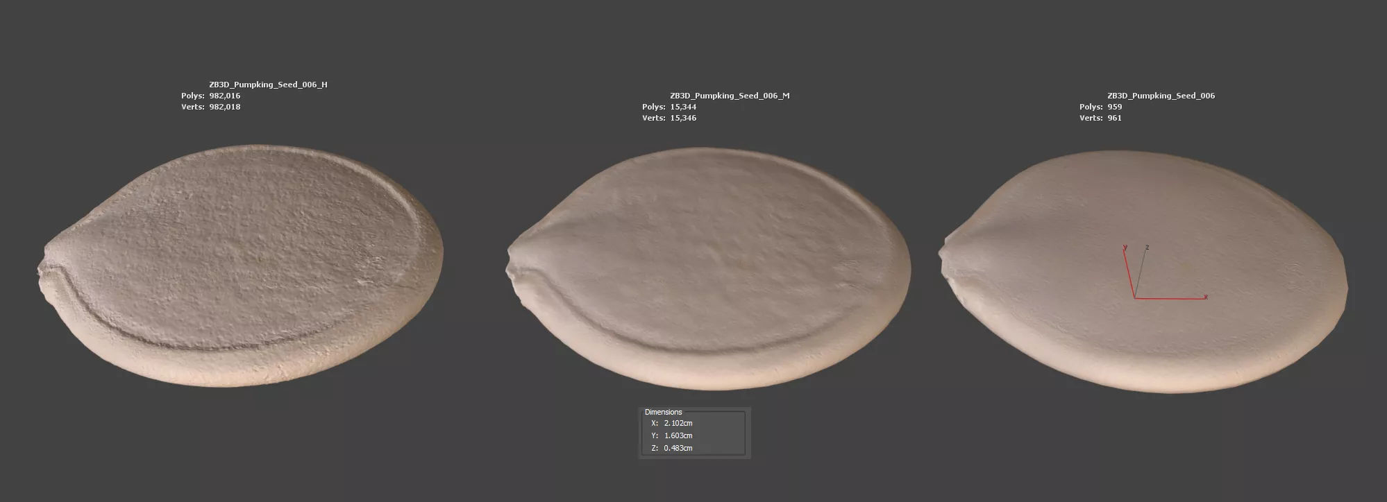 Pumpkin Seed 3D model_5
