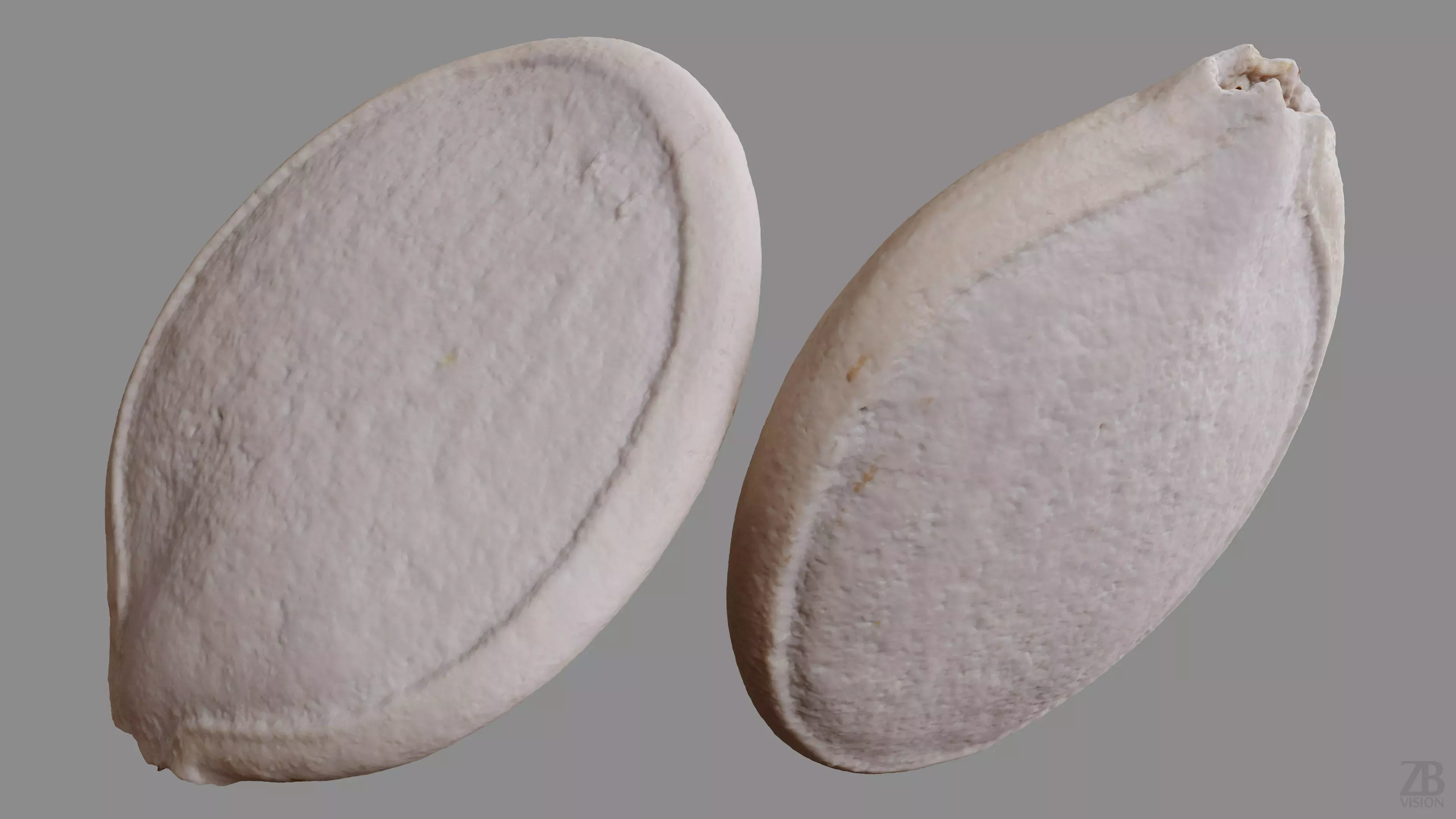 Pumpkin Seed 3D model_9