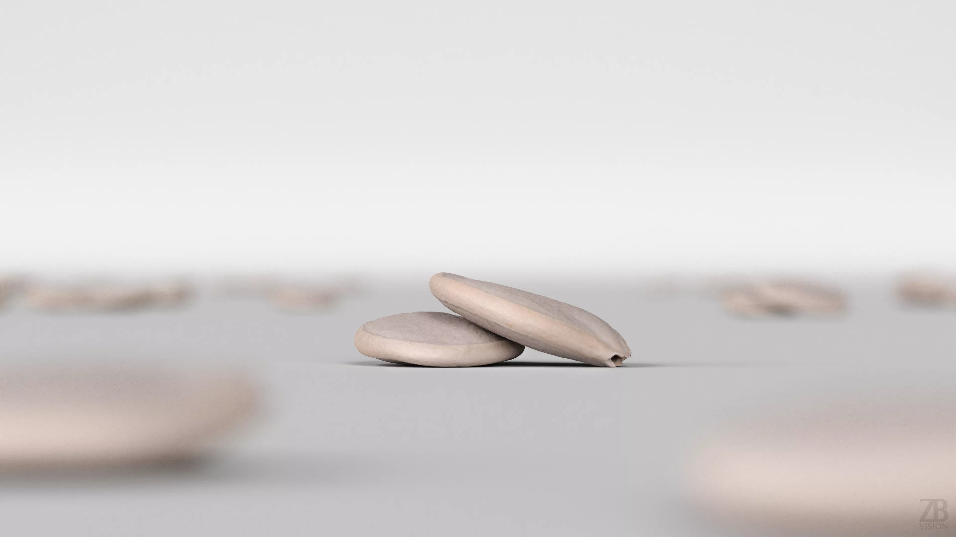 Pumpkin Seed 3D model_1