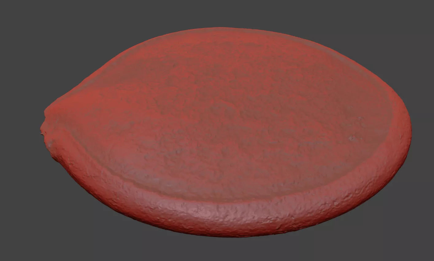 Pumpkin Seed 3D model_7