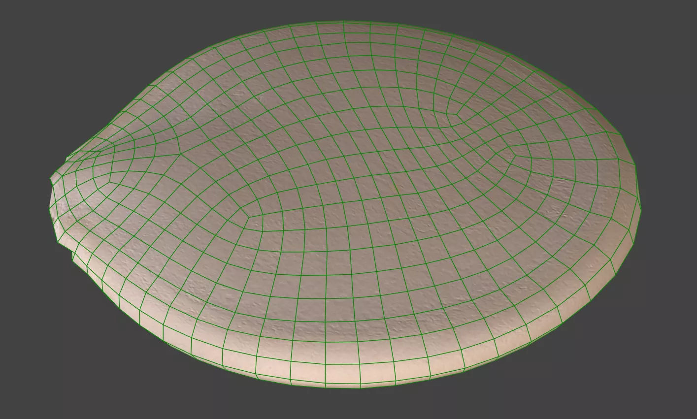 Pumpkin Seed 3D model_6