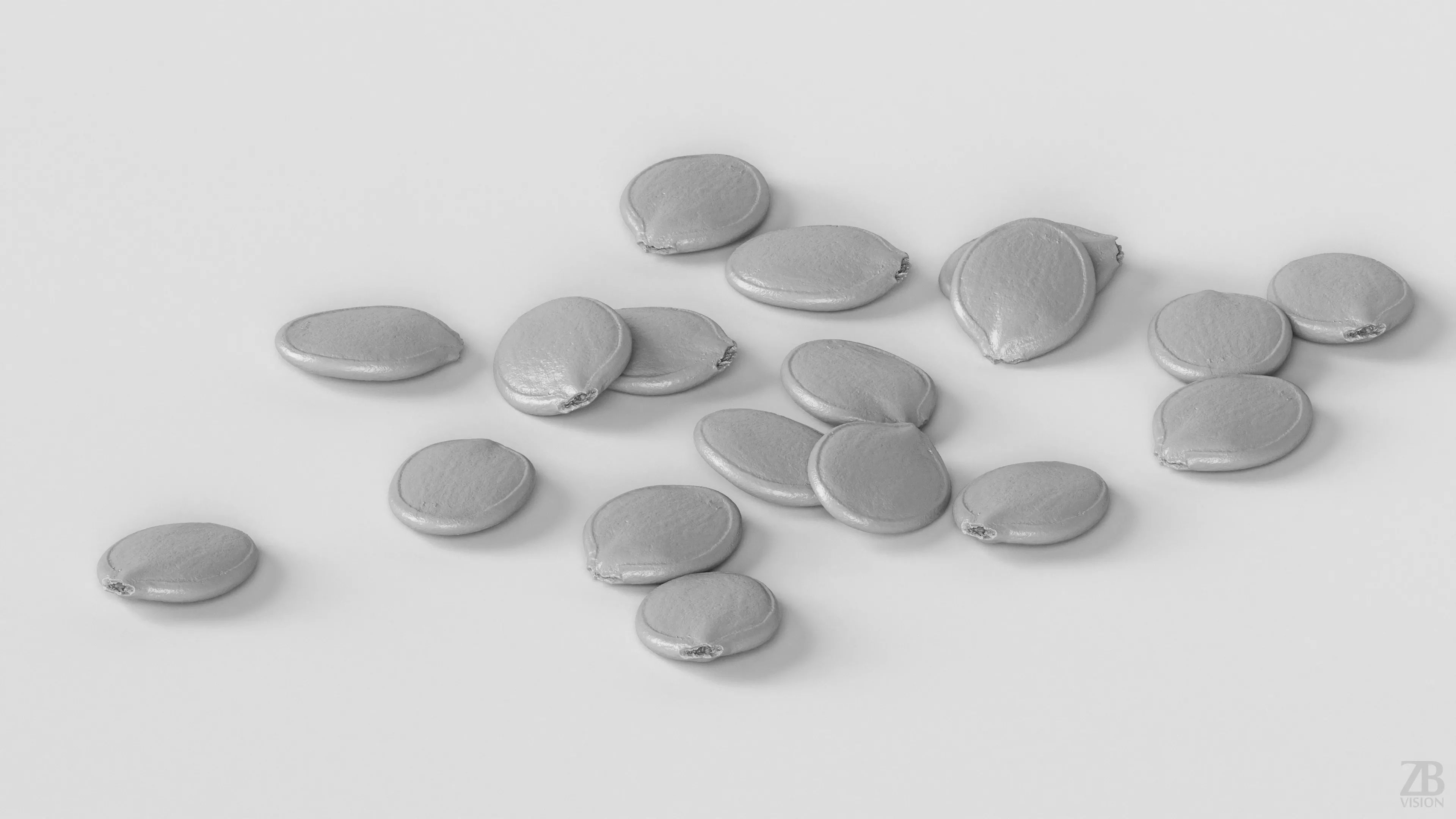 Pumpkin Seed 3D model_3