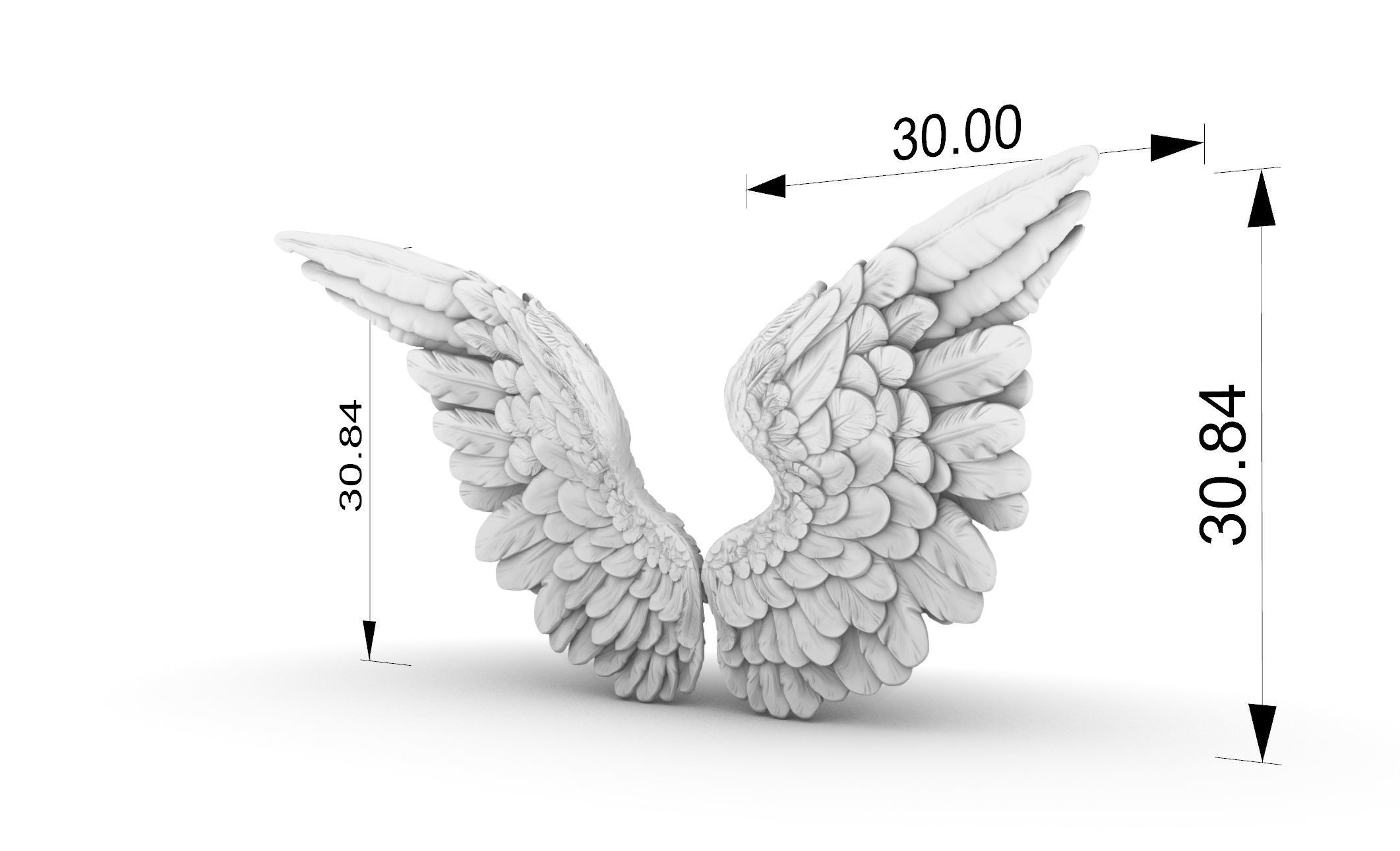 angel wings  3D print model_1