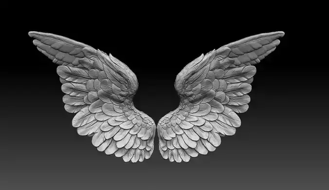 angel wings  3D print model