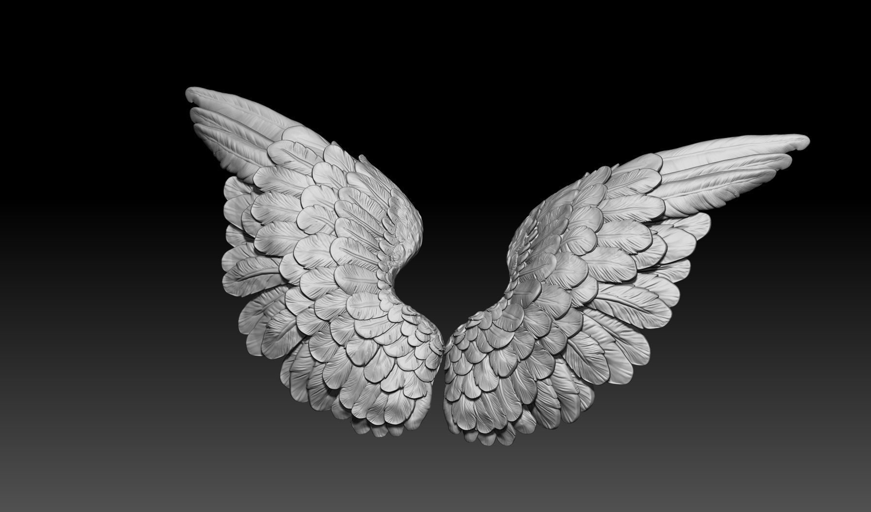 angel wings  3D print model_8