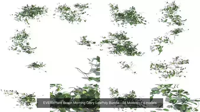 EVERYPlant Beach Morning Glory LowPoly Bundle --56 Models-- 3D Model Collection
