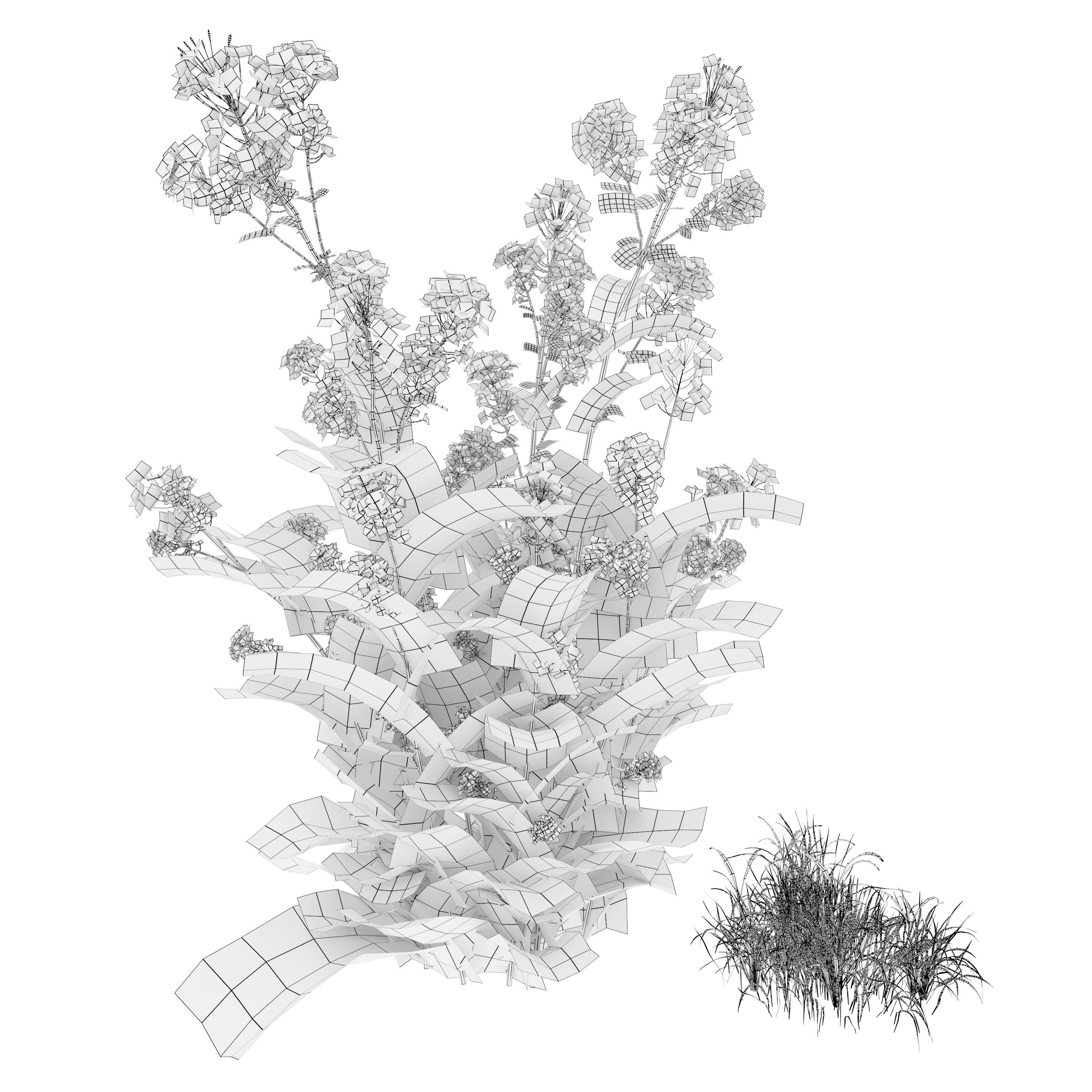 Rapeseed field 3D model_5