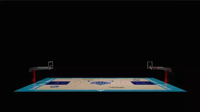Charlotte Hornets court