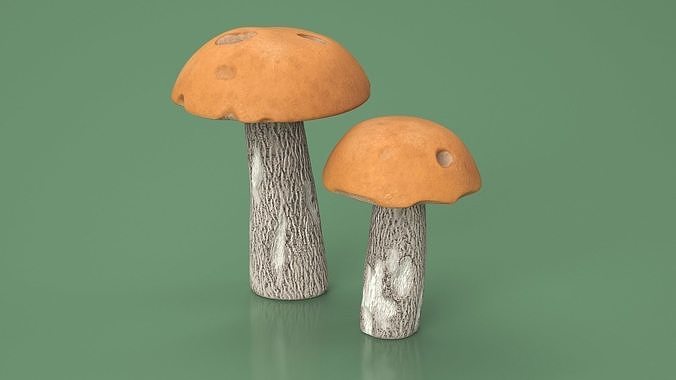 Edible Mushrooms Collection 3D Model Pack 6